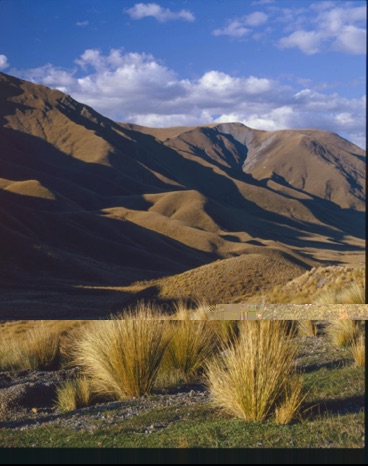 Hillside on South Island
New Zealand Hillside on South Island
New Zealand